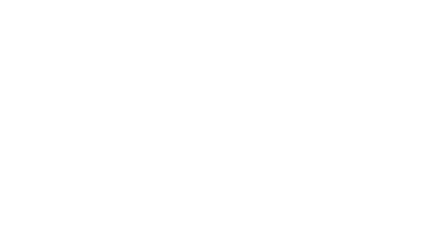 dotted line